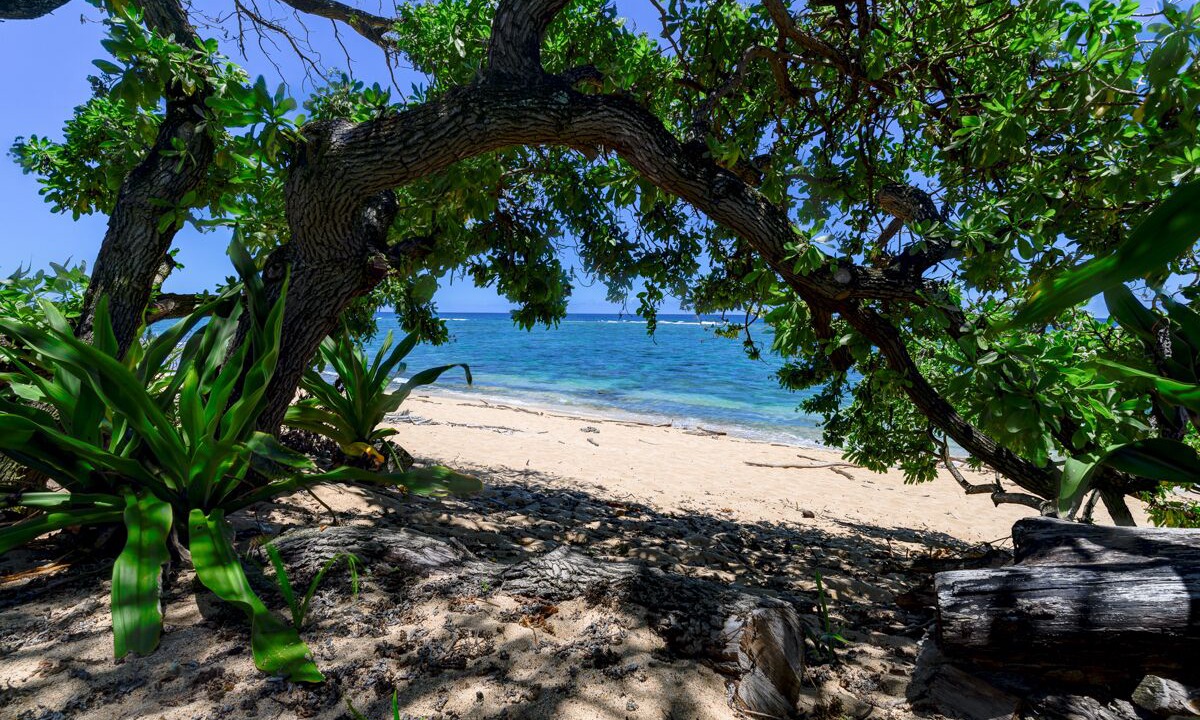 Photo of Others in Wainiha