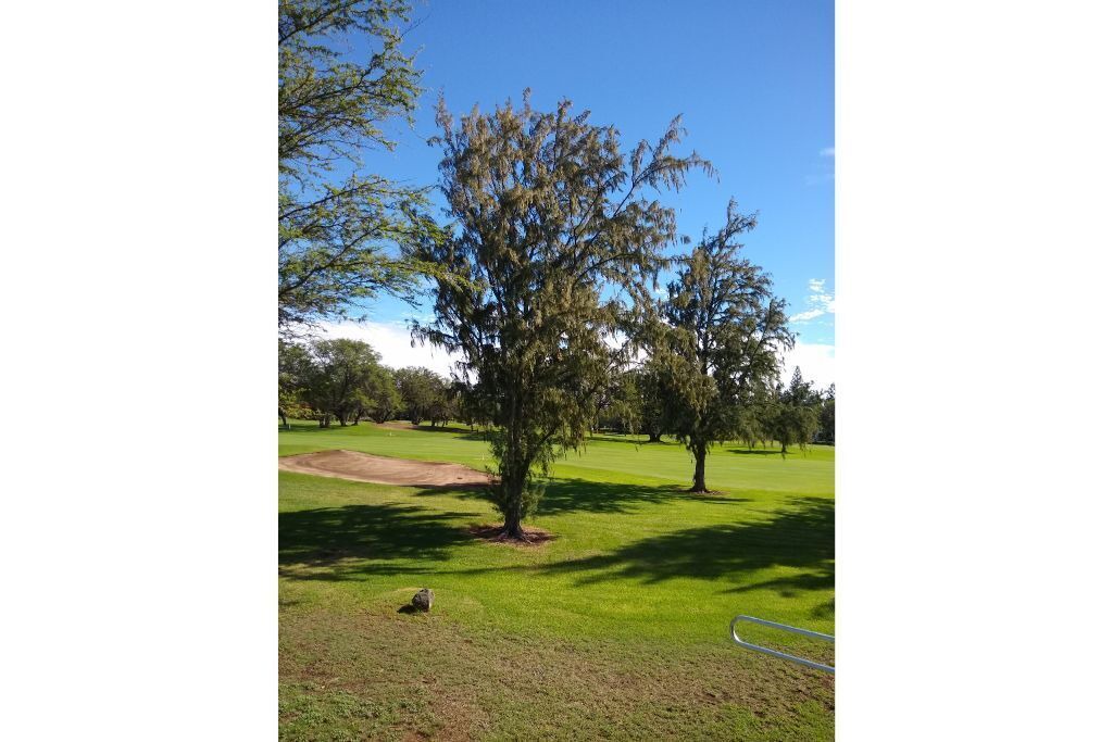 Photo of Others in Waikoloa Village