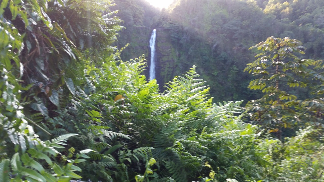 Photo of Outdoor in Waikoloa Village
