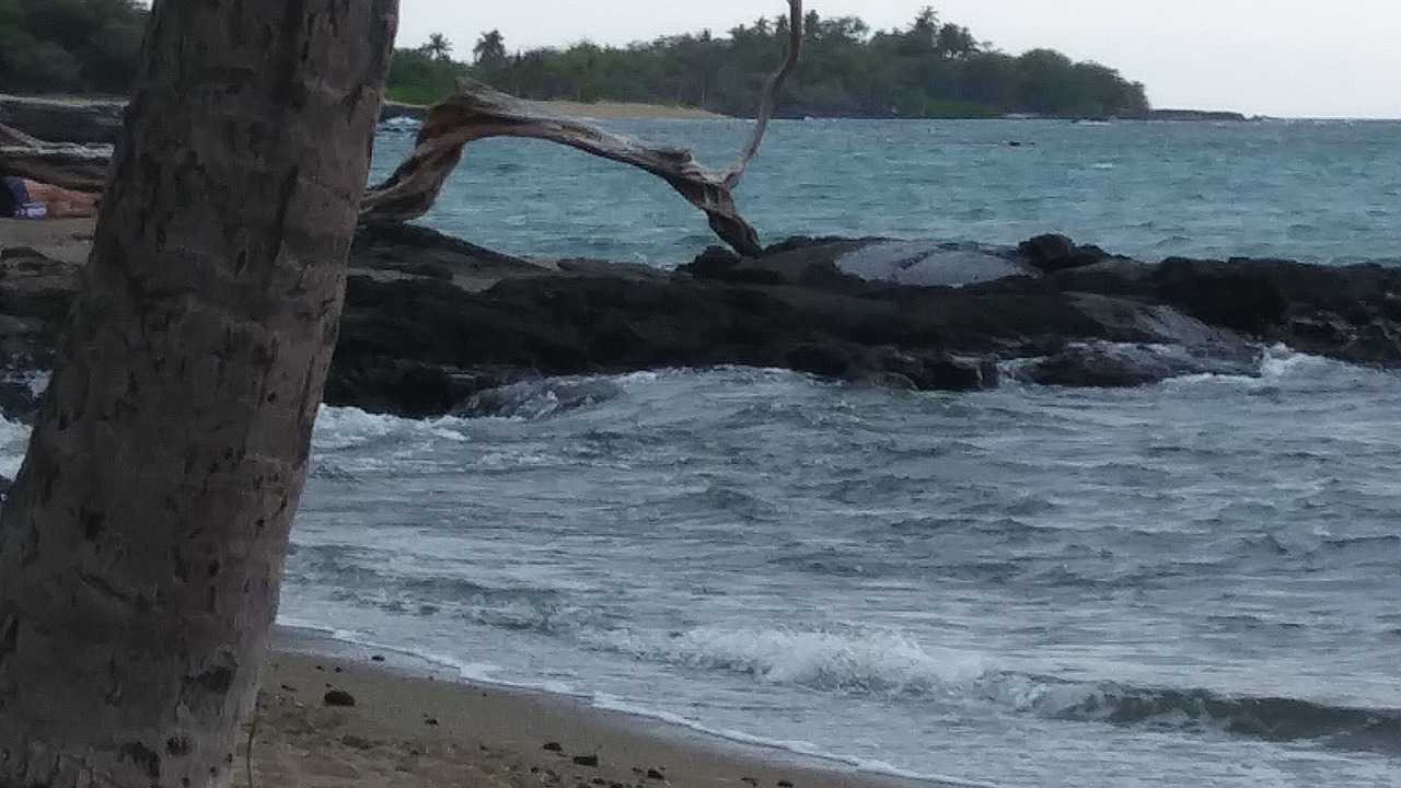 Photo of Others in Waikoloa Village
