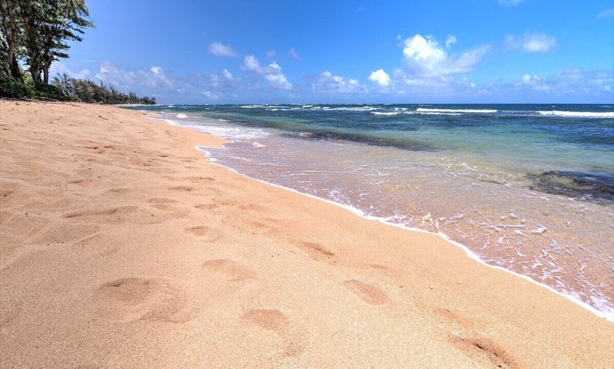 Photo of Others in Wailua