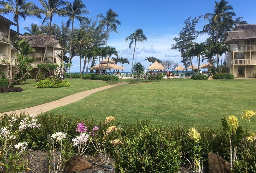 Photo of Outdoor in Wailua