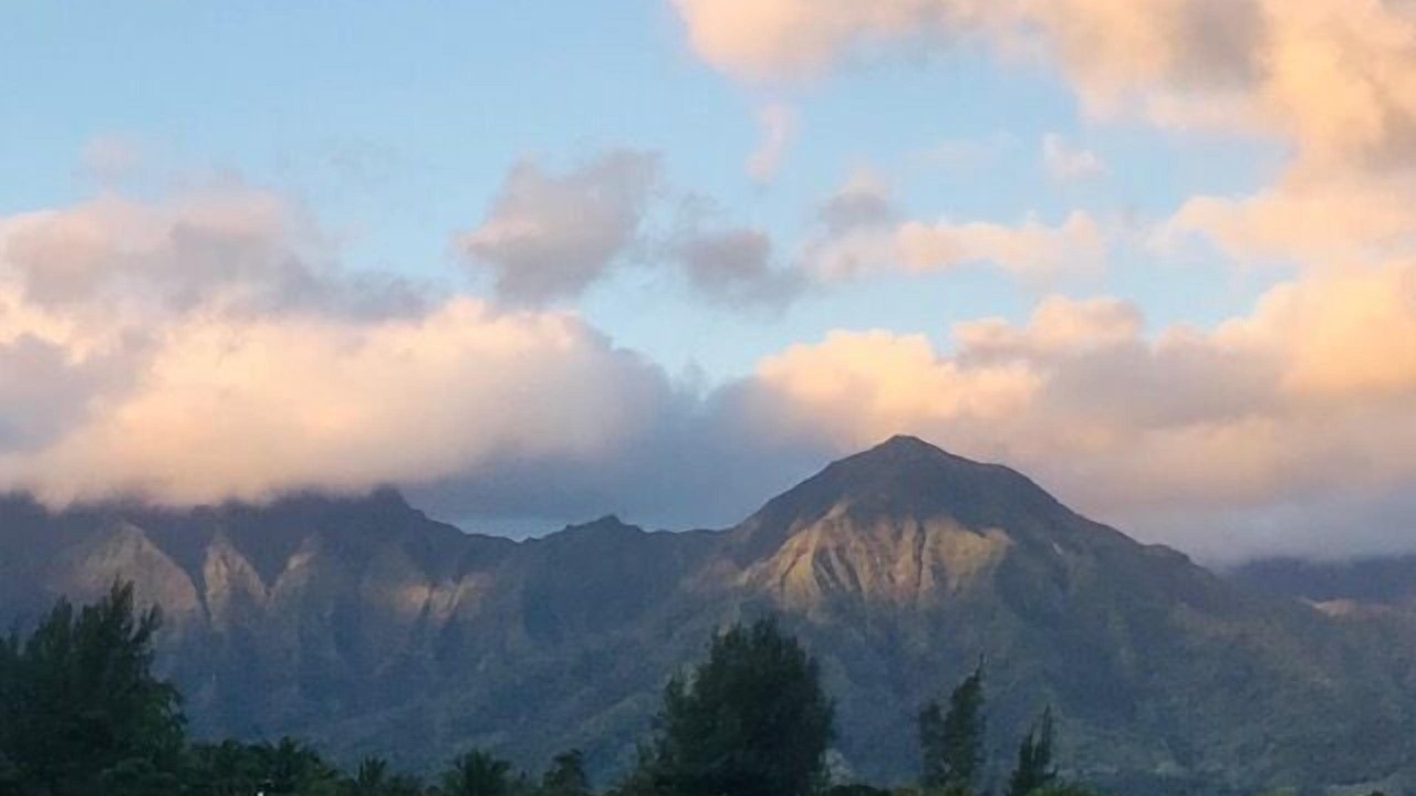 Photo of Others in Princeville