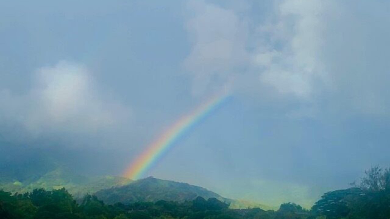 Photo of Others in Princeville
