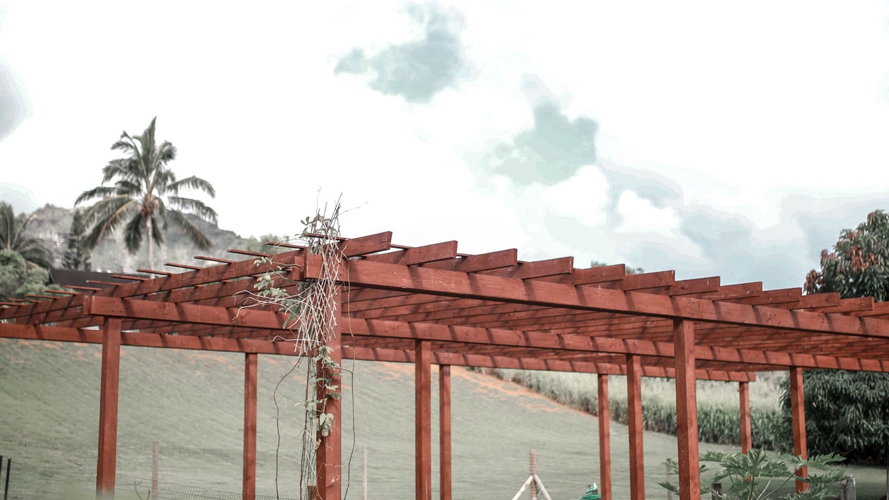 Photo of Outdoor in Anahola