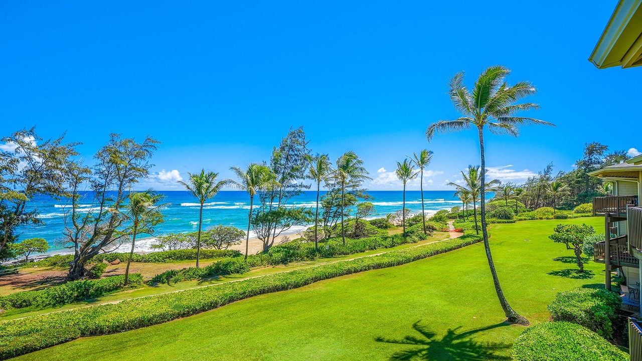 Photo of Others in Lihue