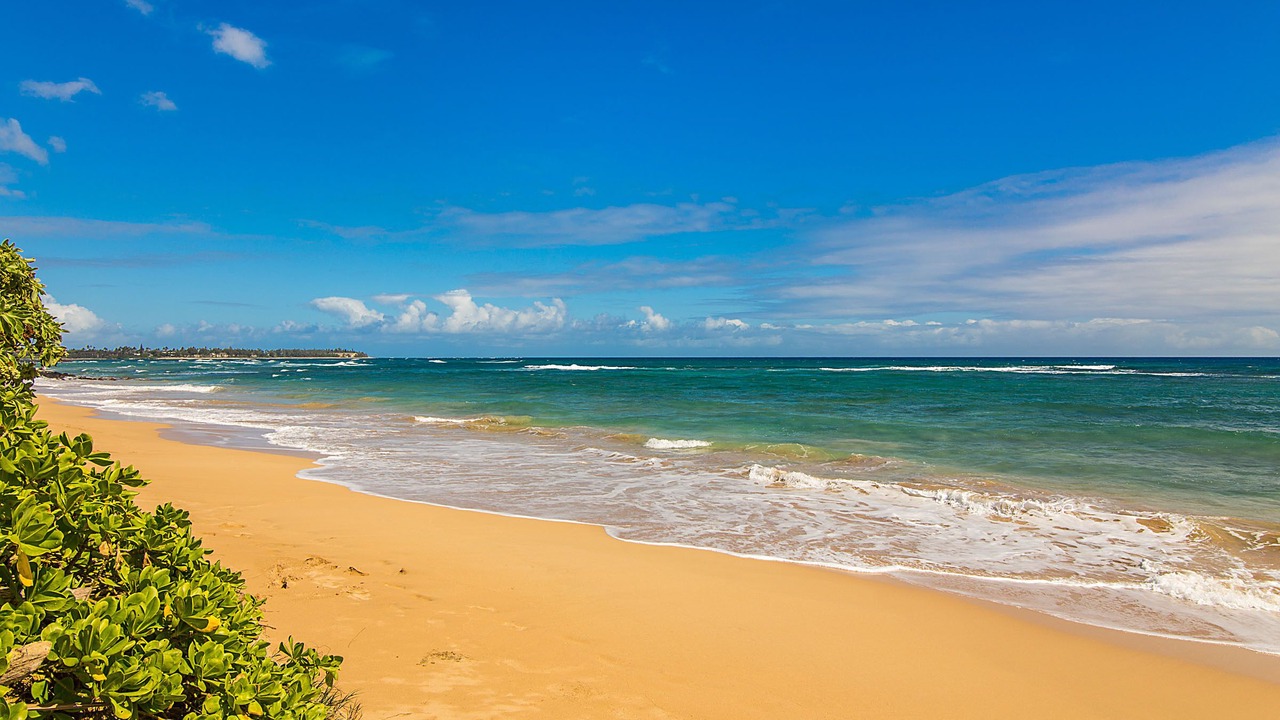 Photo of Others in Lihue