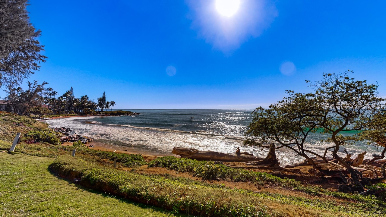 Photo of Others in Wailua House Lots