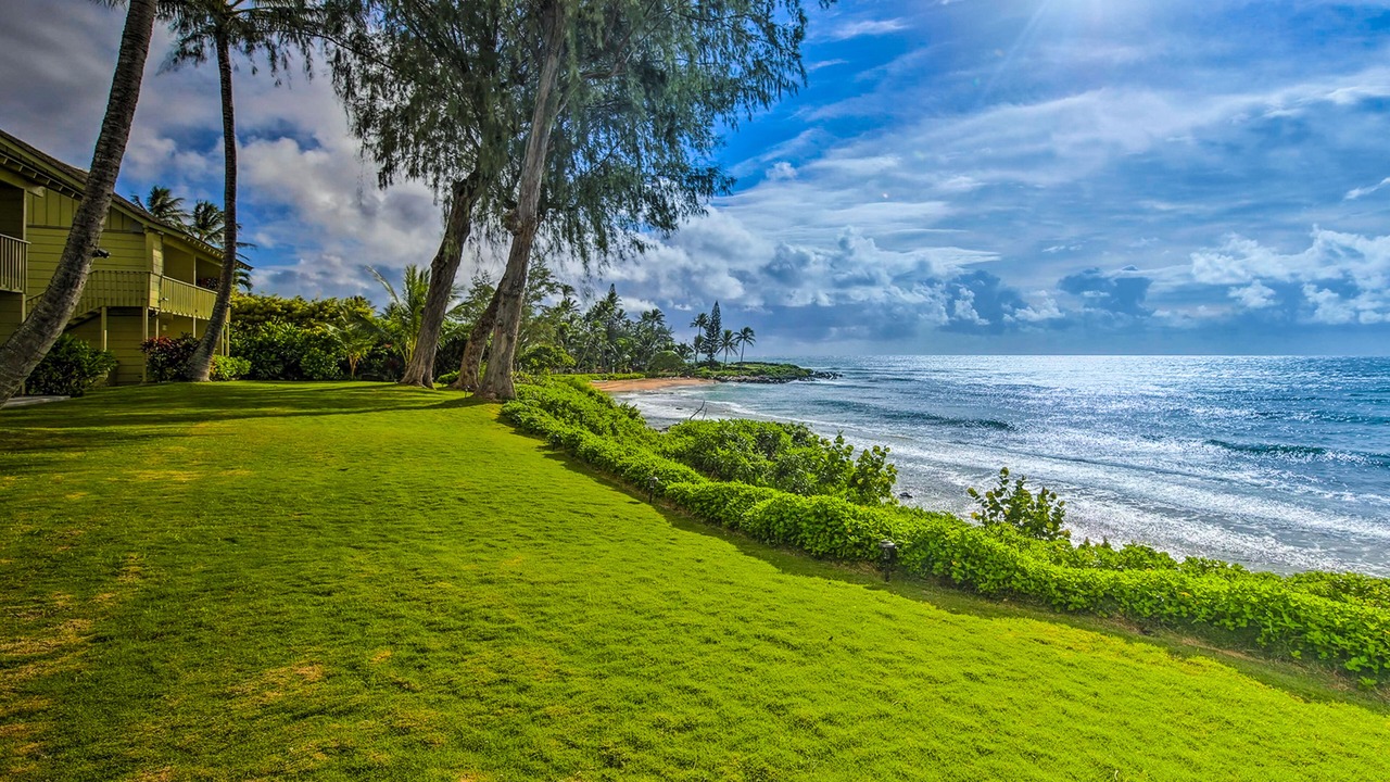 Photo of Outdoor in Wailua