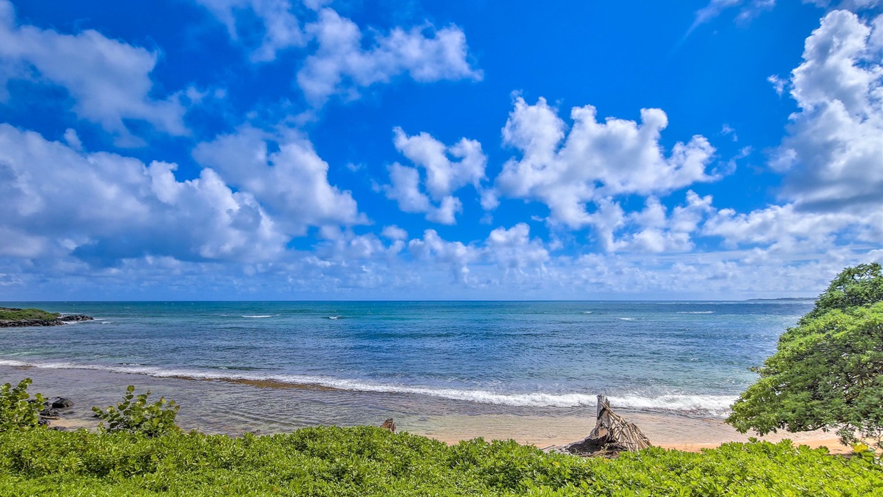Photo of Others in Wailua