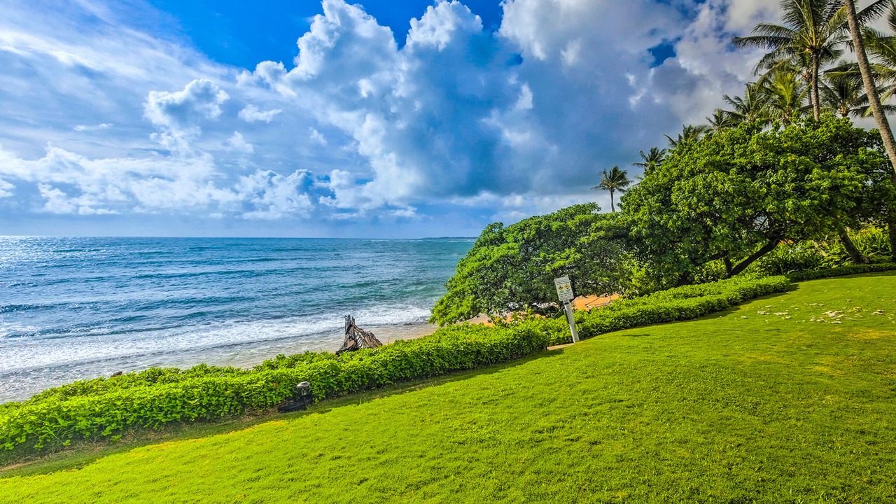 Photo of Others in Wailua