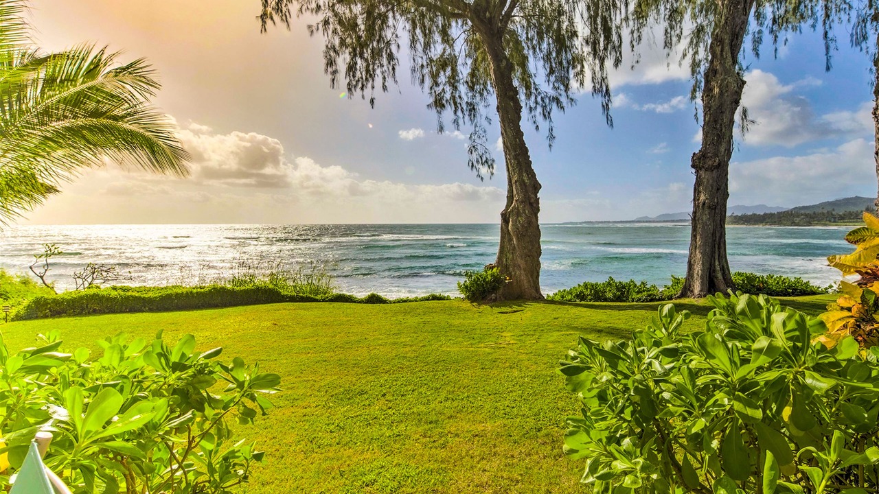 Photo of Others in Wailua
