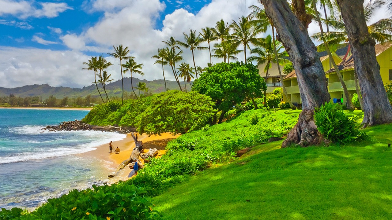 Photo of Others in Wailua