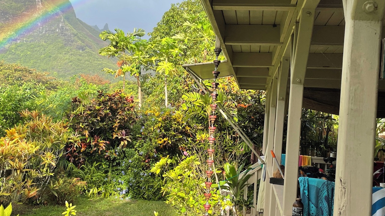 Photo of Outdoor in Wainiha
