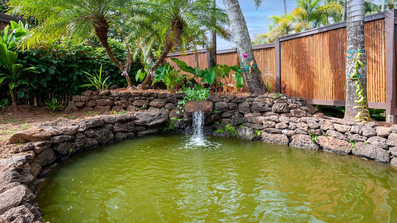 Photo of Outdoor in Wainiha