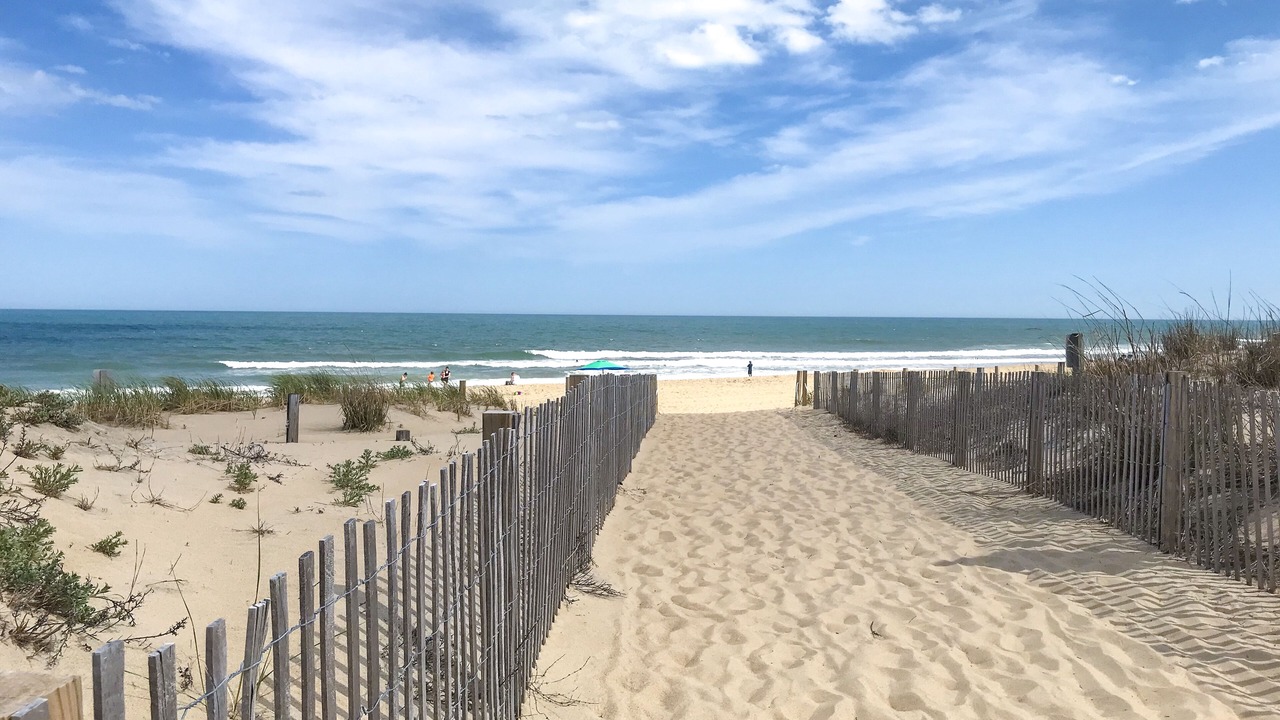 Photo of Others in North Ocean City
