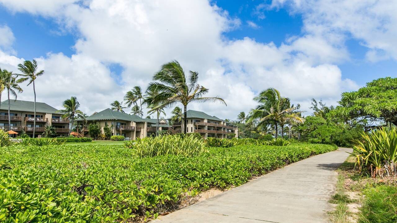 Photo of Others in Lihue