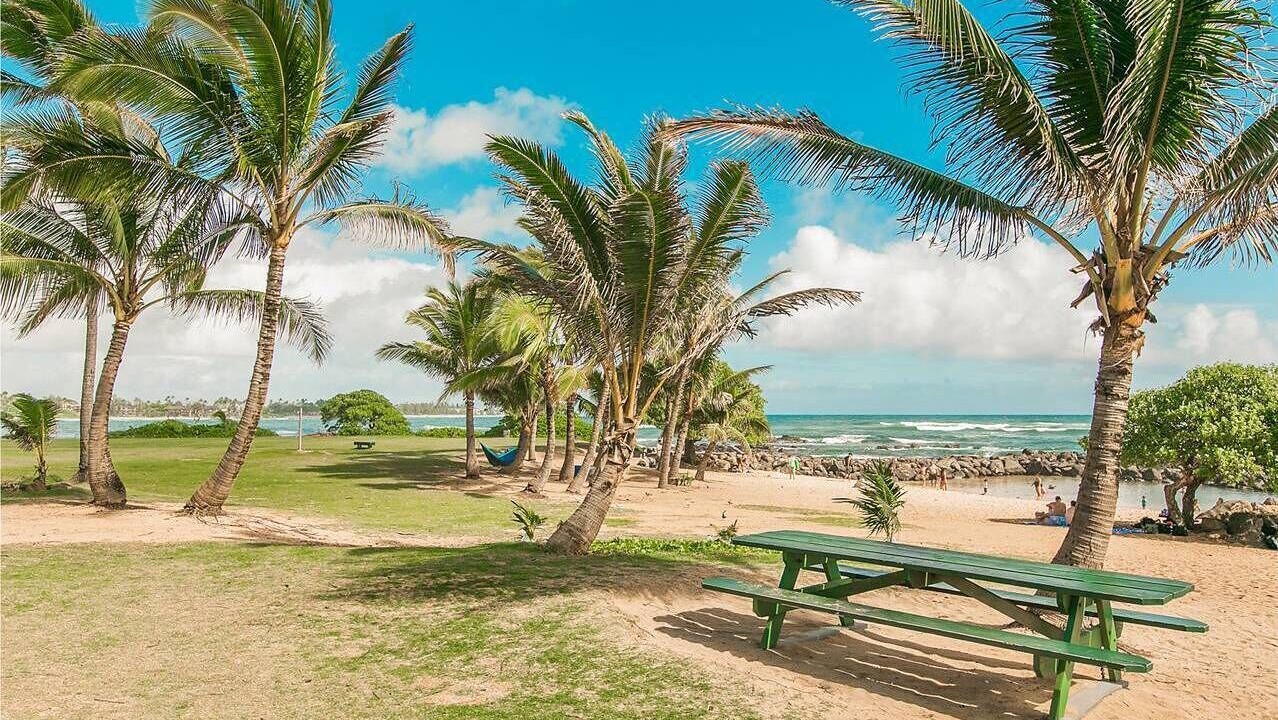 Photo of Others in Lihue
