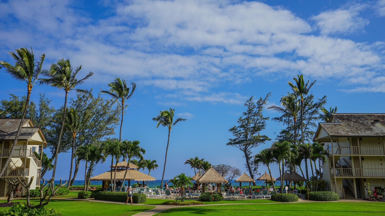 Photo of Outdoor in Wailua