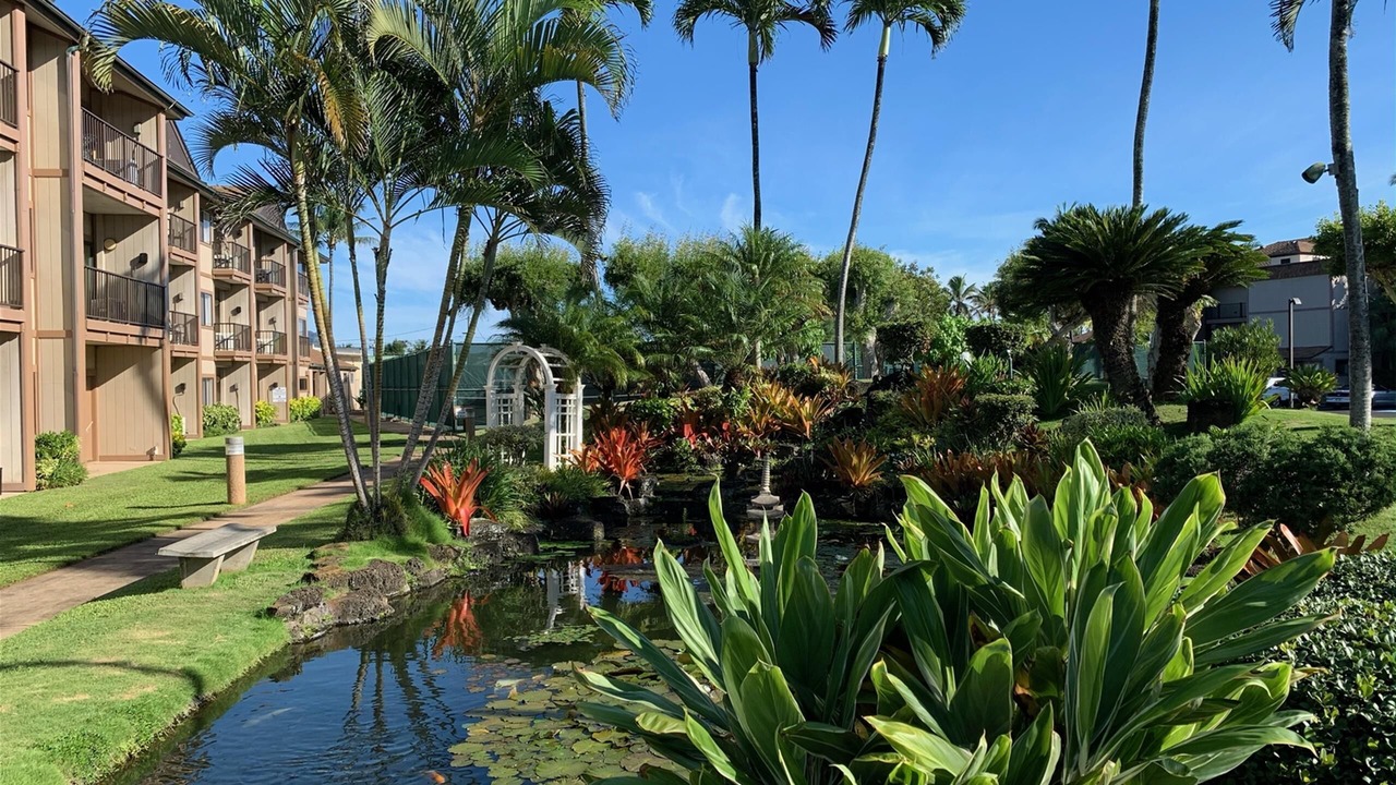 Photo of Outdoor in Kapaa