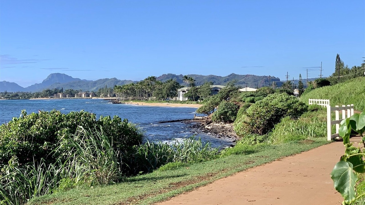 Photo of Others in Kapaa
