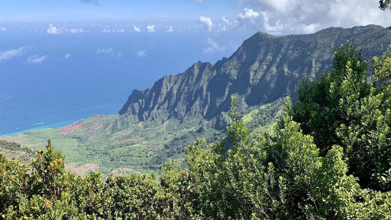 Photo of Others in Kapaa