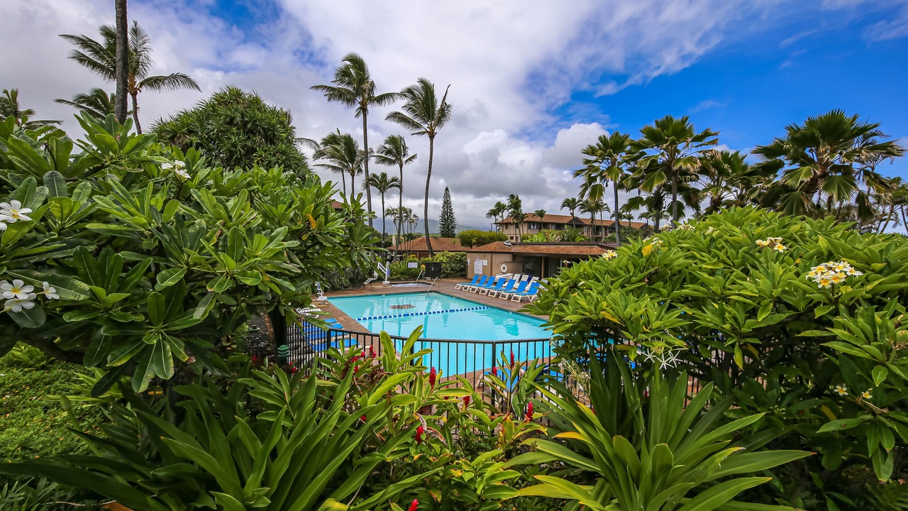 Photo of Outdoor in Kapaa