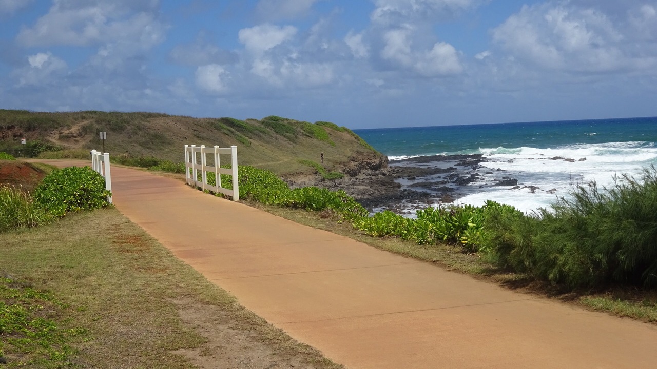 Photo of Others in Wailua