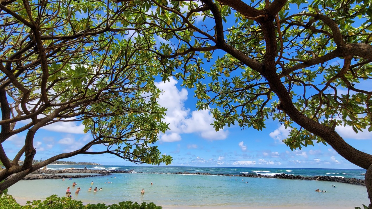 Photo of Others in Wailua