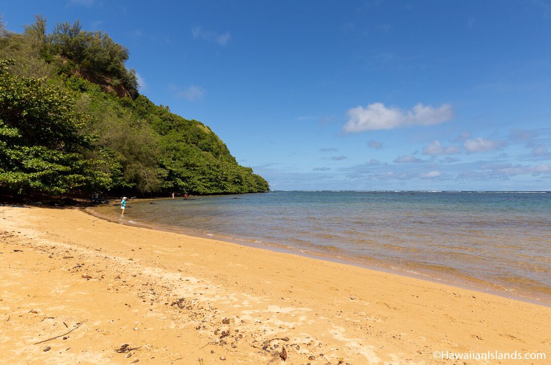 Photo of Others in Princeville
