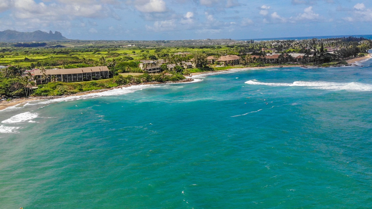 Photo of Outdoor in Wailua House Lots