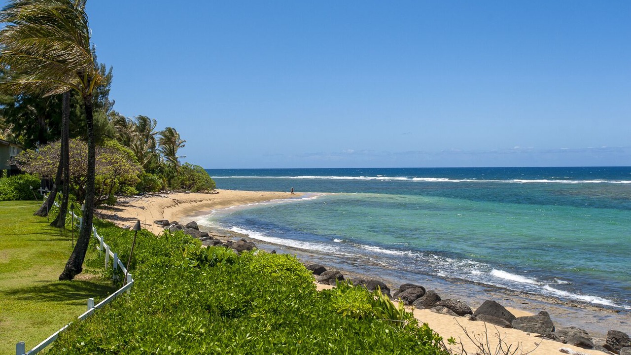Photo of Others in Wainiha