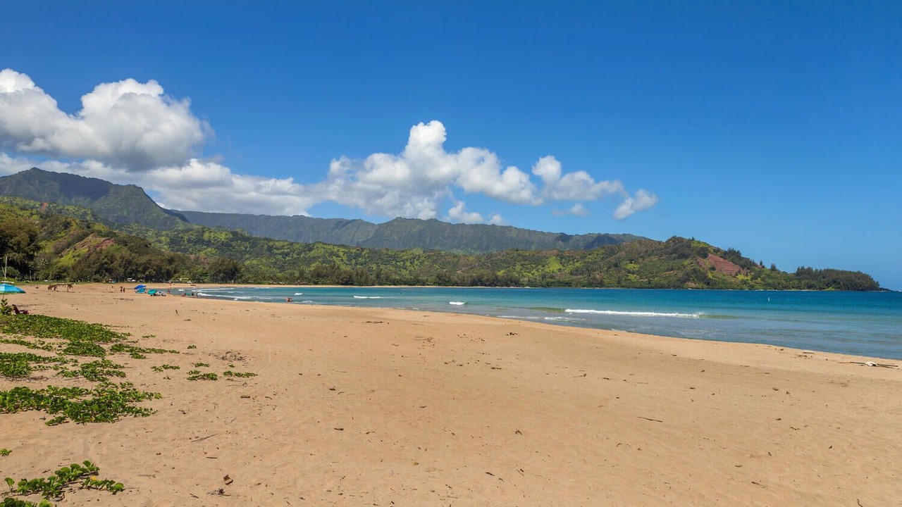 Photo of Others in Hanalei Palms