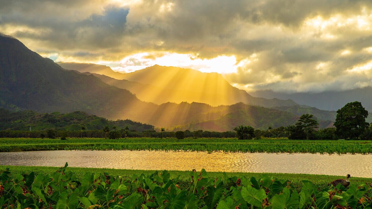 Photo of Outdoor in Hanalei Palms
