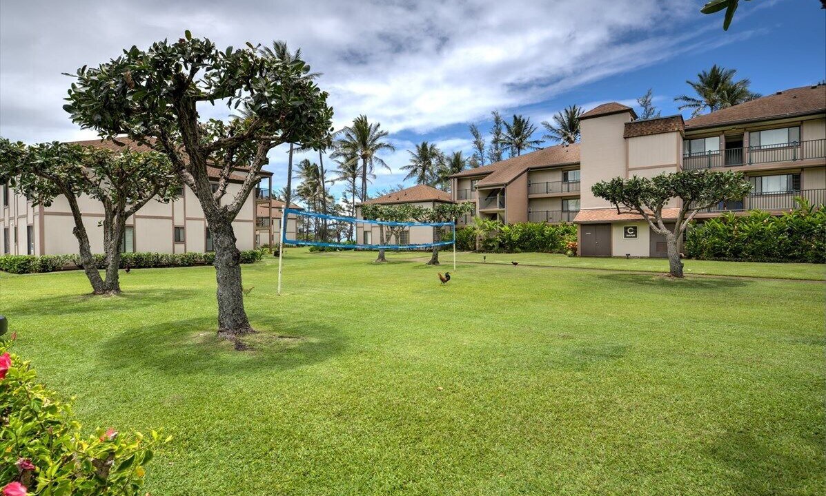 Photo of Others in Kapaa