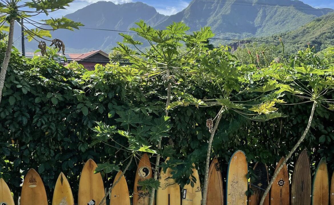 Photo of Others in Hanalei