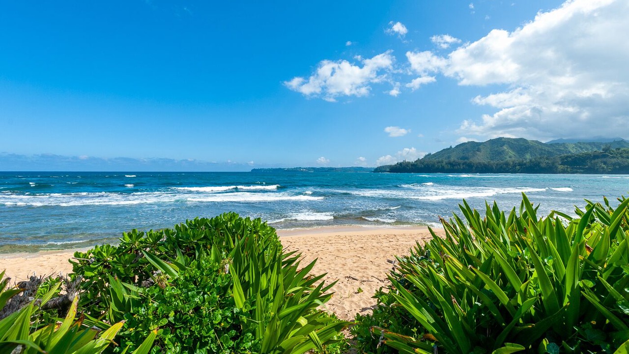 Photo of Others in Wainiha