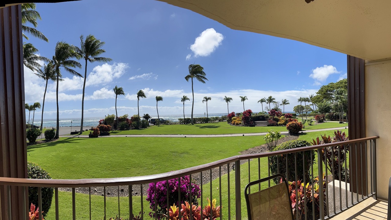 Photo of Others in Poipu