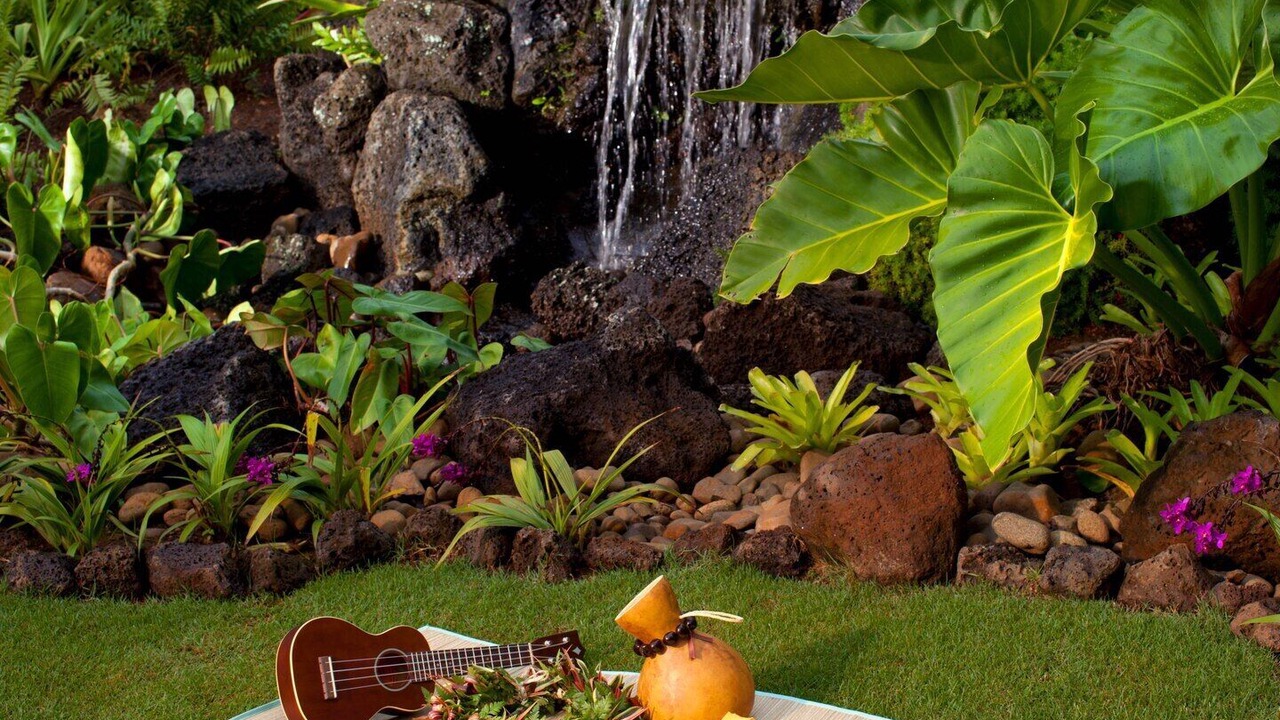 Photo of Outdoor in Poipu