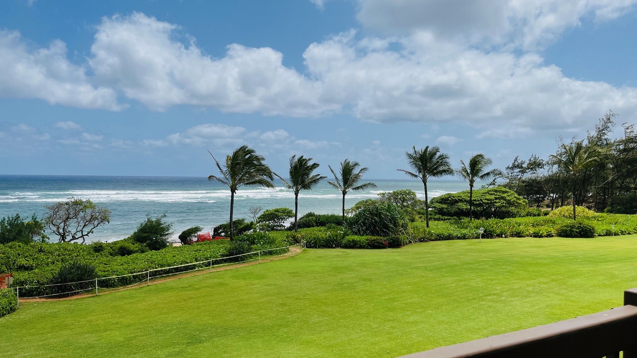 Photo of Outdoor in Lihue