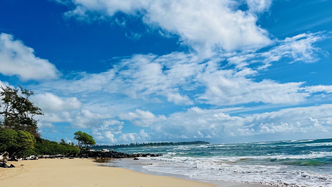 Photo of Others in Lihue
