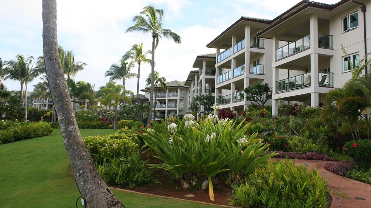 Photo of Outdoor in Lihue
