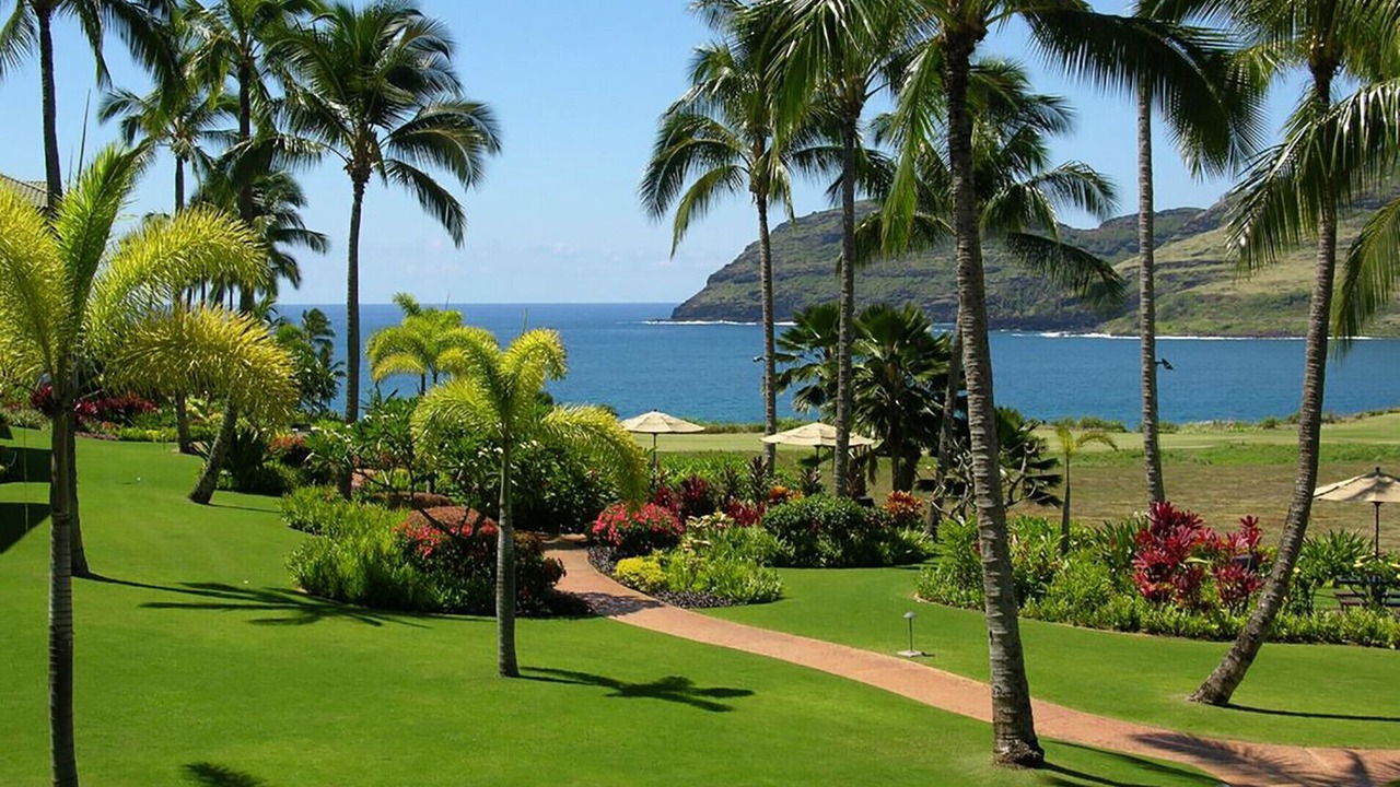 Photo of Others in Lihue