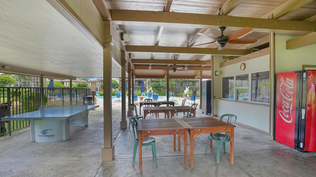 Photo of Outdoor in Kapaa