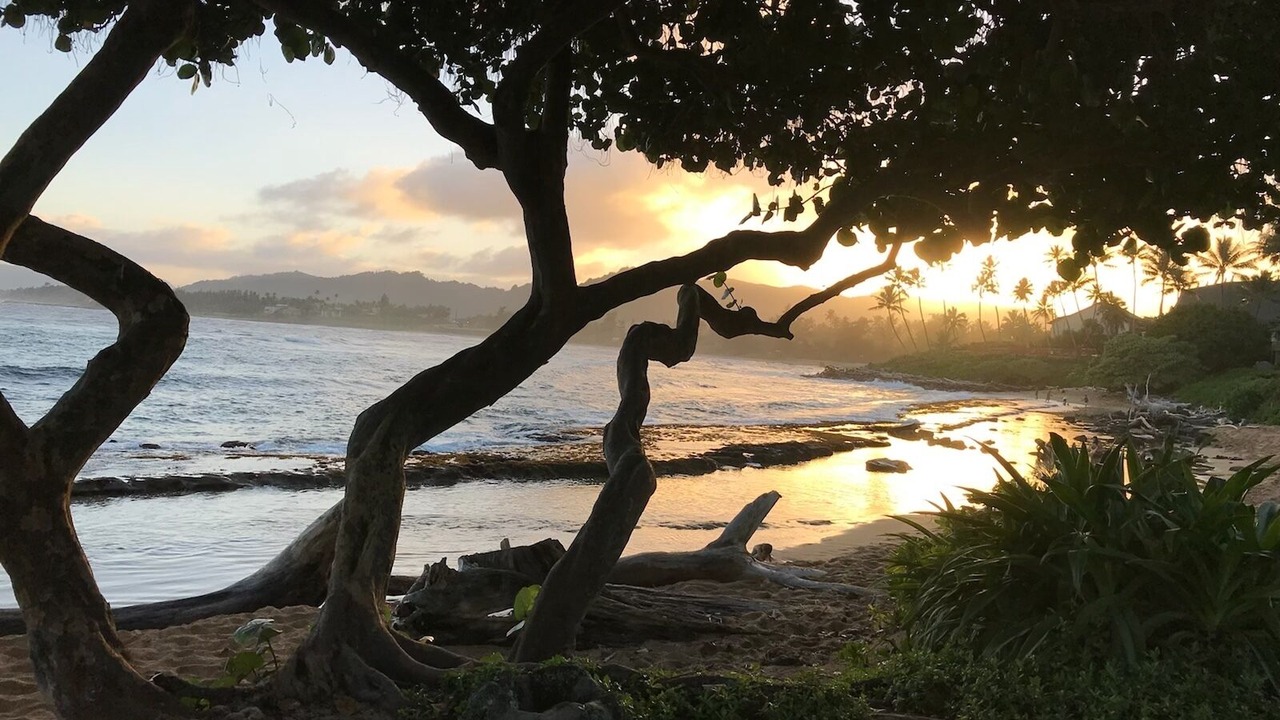 Photo of Others in Kapaa