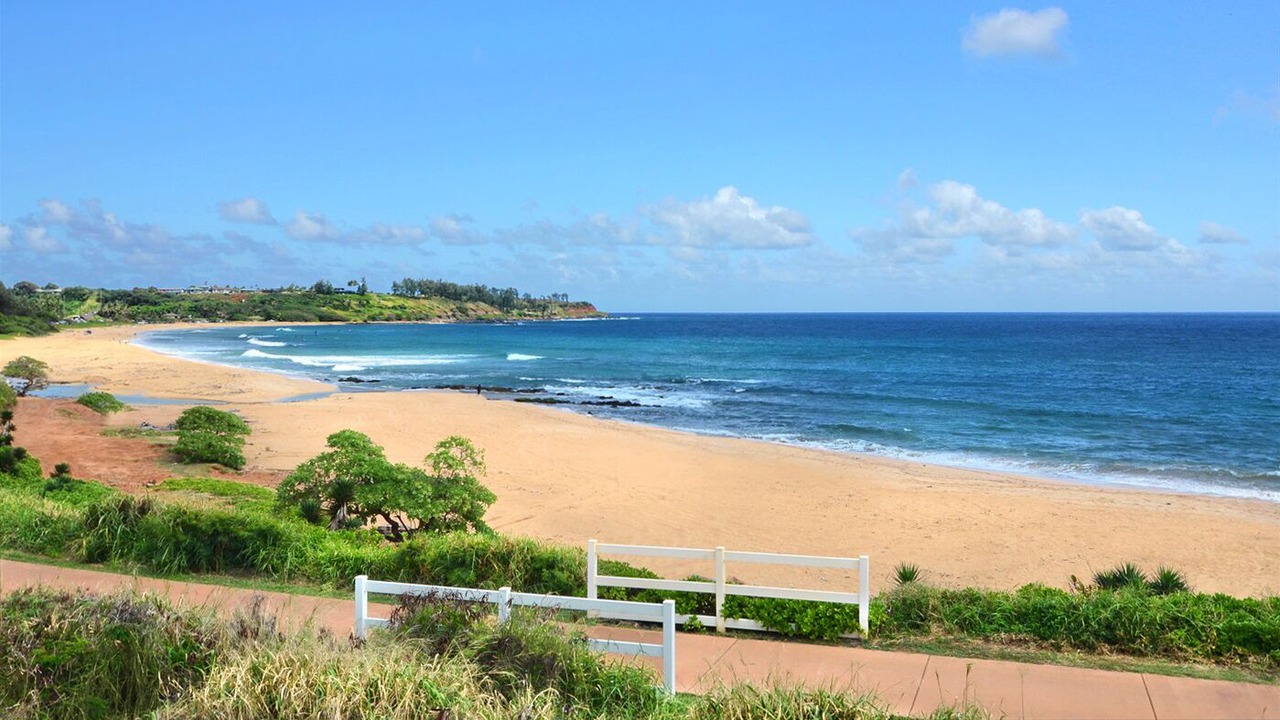 Photo of Others in Lihue