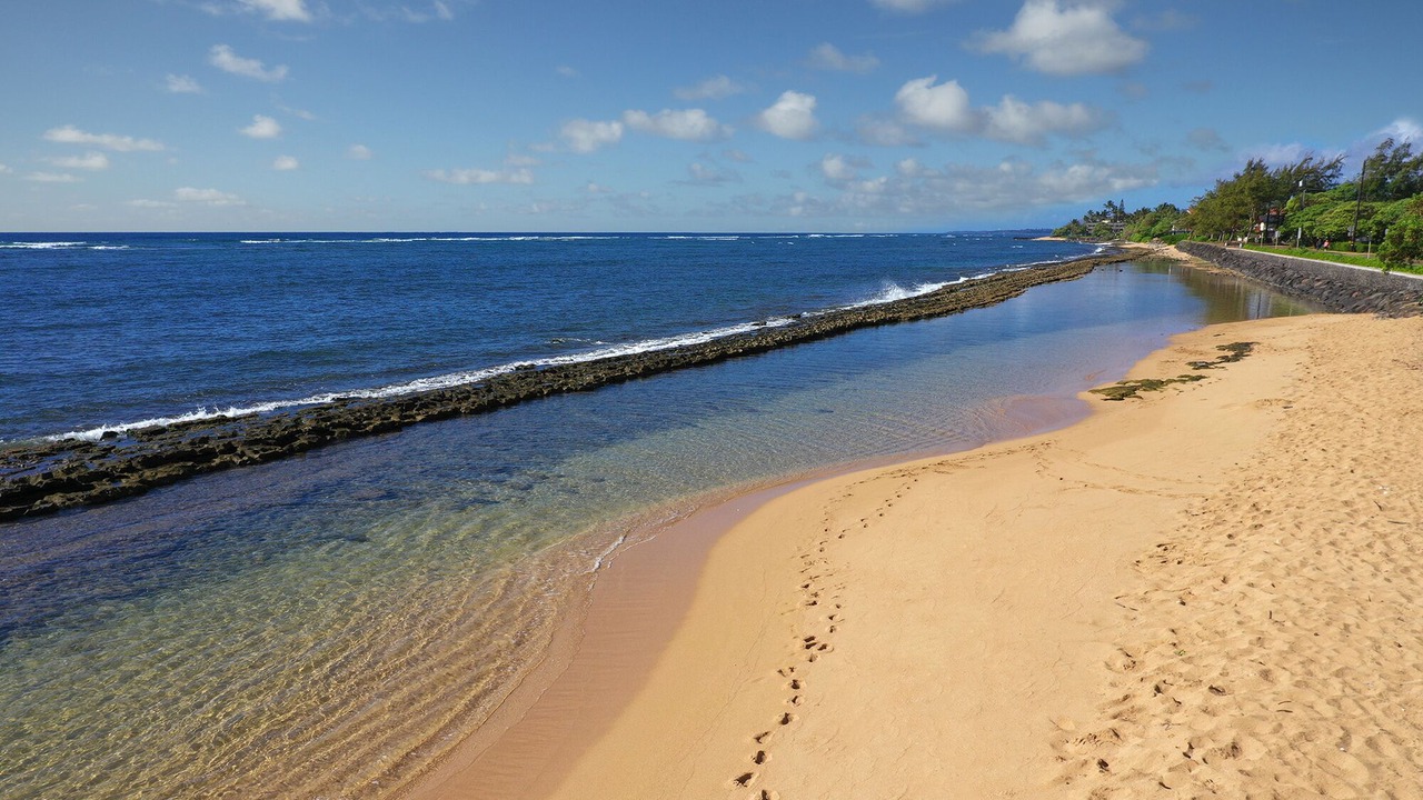 Photo of Others in Lihue