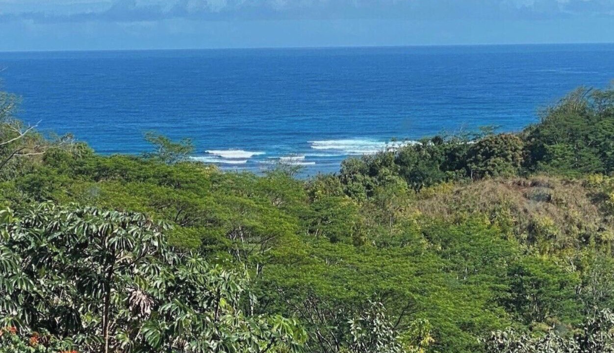 Photo of Others in Kaiulani