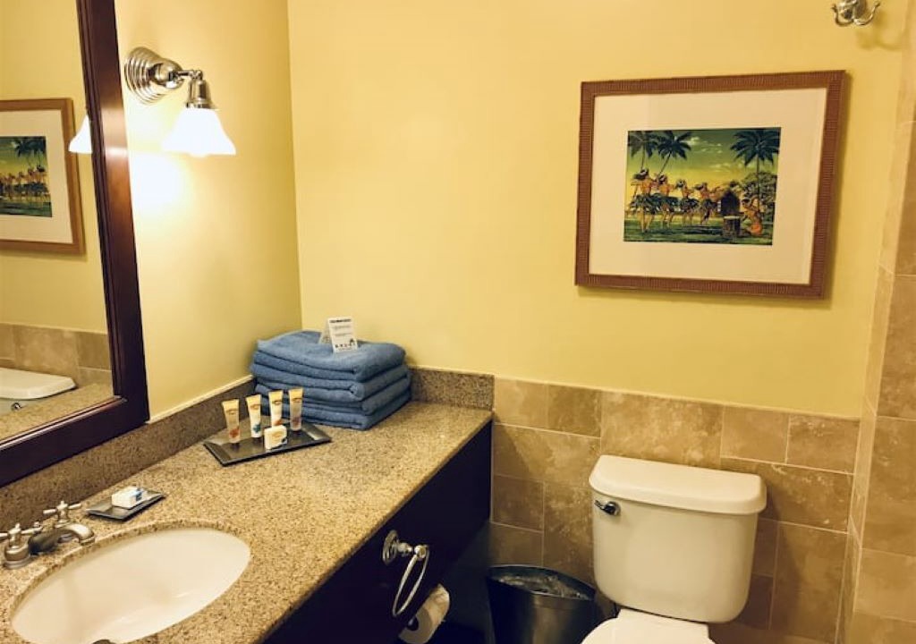 Photo of Bathroom in Hanamaulu