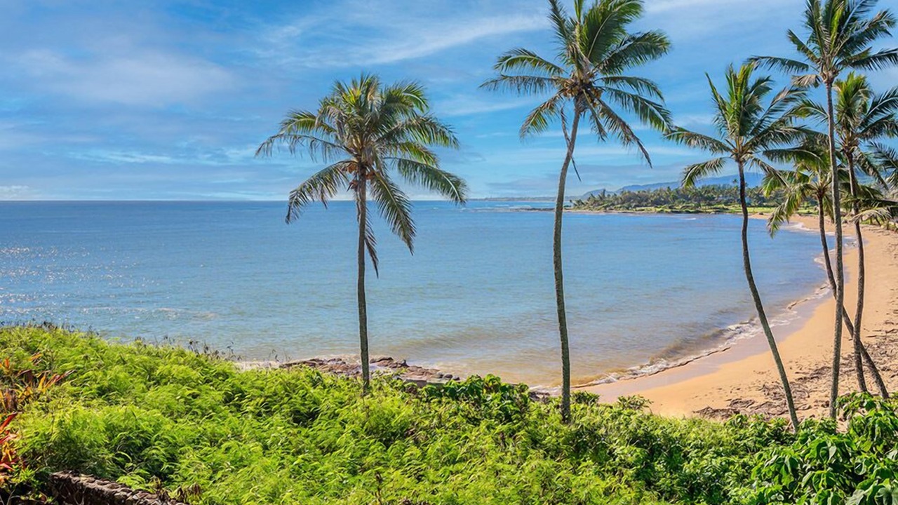 Photo of Others in Wailua House Lots
